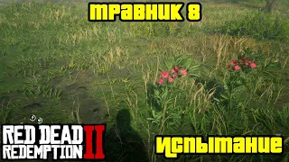 Прохождение RDR 2 на 100% - Испытание: Травник 8 (Глава 2 - Нагорье Подкова)