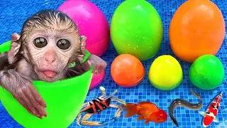 Monkey Baby Shark | Nursery Rhymes & Kids Songs |Bobby Kids Songs #9