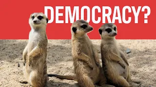 Is Democracy Natural?