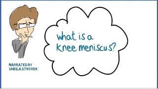 What is a knee meniscus?