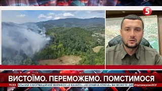 Українські ліси не будуть пущені під сокиру: Юрій Болоховець про заготівлю дров на зиму