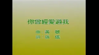 风格群星 - 你曾经爱过我【金曲老歌 卡拉OK流行榜】