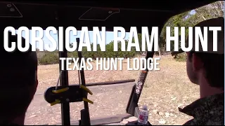 Corsican Ram Hunt at Texas Hunt Lodge - Texas Exotic Hunting Series