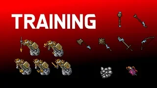 Tibia - Training (2020)