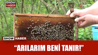 Çılgın arıcı: Arılara yarı çıplak ve eldivensiz müdahale ediyor