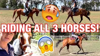 RIDING ALL 3 HORSES!