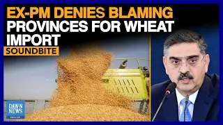 Ex Pakistan PM Kakar Denies Blaming Provinces For Wheat Import | Dawn News English