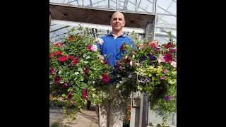 These Are The Hanging Baskets We Made On The Nursery