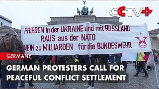 German Protesters Call for Peaceful Conflict Settlement on First Anniversary of Ukraine Crisis