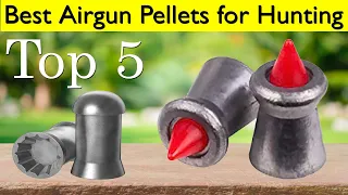 Top 5 Best Airgun Pellets for Hunting 2021