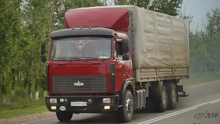 Сборная модель грузовика МАЗ-6303 AVD в масштабе 1:43
