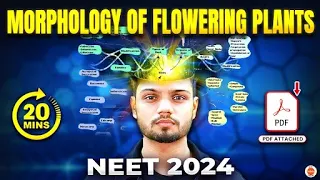 Morphology of Flowering Plants  Mind maps 🧠 with PDF in just 20 mins 😍 NEET 2024🔥ONE SHOT Revision