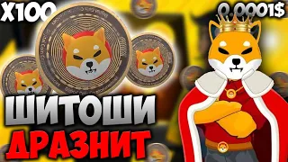 ШИТОШИ ДРАЗНИТ СООБЩЕСТВО - SHIBA INU СМОЖЕТ ЗАКРЫТЬ НОЛЬ?