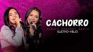 CACHORRO - Jennifer e Stephany e Luan Pereira LP | ELETRO-NEJO | By. Samuka Perfect [REMIX 2023]