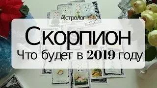 8. СКОРПИОН Что будет в 2019 году. Астрорасклад от Olga