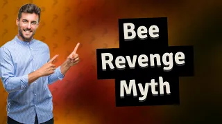 Do bees seek revenge?