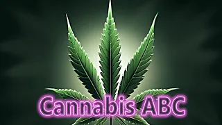 🔴  Cannabis & Legalisierung - passt das zusammen?