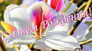 🌸С Днем Рождения !🌹СУПЕР КРАСИВОЕ ПОЗДРАВЛЕНИЕ С ДНЕМ РОЖДЕНИЯ!🌷СУПЕР ШИКАРНАЯ ПЕСНЯ!🌻🌼