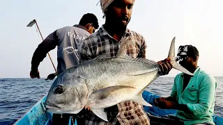 Catching Plenty of Giant Trevally Fish in the Deep Sea