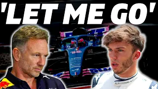 Red Bull SPEAKS On Gasly Situation! FIA Responds