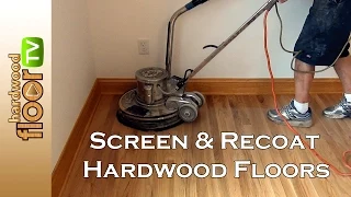 Screen Hardwood Floors -  Buff & Recoat