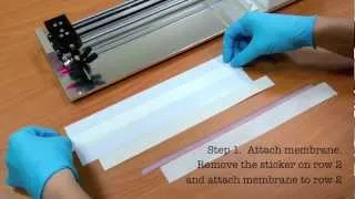 Rapid Test (Immunoassay): Membrane tutorial