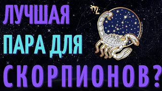 КАКАЯ ЛУЧШАЯ ПАРА ДЛЯ СКОРПИОНОВ? СОВМЕСТИМОСТЬ СКОРПИОНА СО ВСЕМИ ЗНАКАМИ ЗОДИАКА!