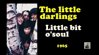 The little darlings  -- Little bit o' soul