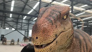 The Making of Realistic Dinosaur Models - A Behind-the-Scenes Look at Our Production Process!