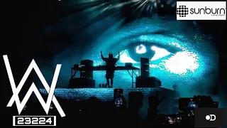 Alan Walker Live "Darkside & Spectre" Sunburn Mumbai 2022