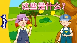 What Are They? (这些是什么？) | Learning Songs 1 | Chinese song | By Little Fox
