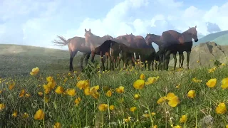 Кавказский государственный природный биосферный заповедник #Кавказскийбиосферныйзаповедник