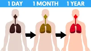 What Happens To Your Body When you Quit Smoking For 1 hour, 1 Day, 1 Month and 1 Year