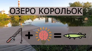 РИБАЛКА на ЩУКУ у КИЄВІ.  ОЗЕРО КОРОЛЬОК