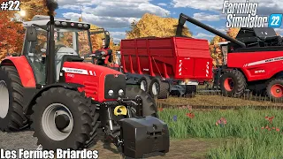 HARVESTING SUNFLOWER W/ MASSEY FERGUSON│LES FERMES BRIARDES │FS 22│22