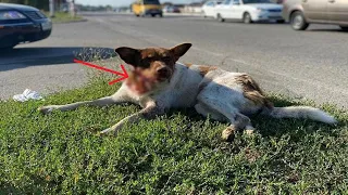 He tried to lie on the curb in hopes of finding help, but he seemed invisible to everyone