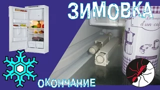 Муравьиная ферма. Зимовка муравьев. Окончание.