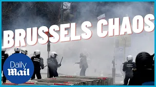 Brussels lockdown protests: Riot police unleash water cannons and tear gas on Brussels protesters