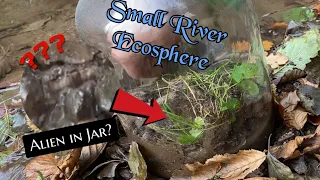 Creating a Ecosphere from a small river! it is creepy - Parasite or Alien :D ?