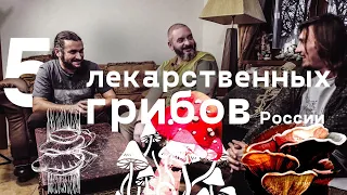 5 самых полезных грибов России. Михаил Вишневский