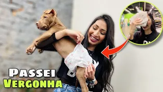 PASSEI VERGONHA COLOCANDO FRALDA NO CACHORRINHO ! Maby Souza