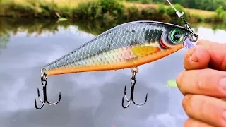 Rapala Lures Unboxing and canal Pike Fishing!