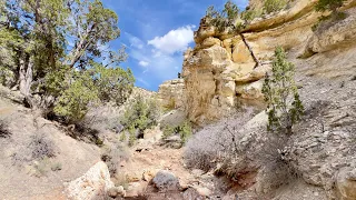 Exploring a little rocky canyon, I found a cave!