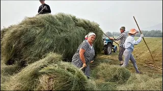 "Средь широких полей" (авторская песня о жизни в деревне)