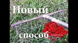 Где и как намыть мотыля весной под Киевом