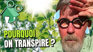 🥵 TRANSPIRATION : D'où vient l'odeur ?  💧