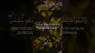 OMAR HISHAM | Сура 2 аят 102