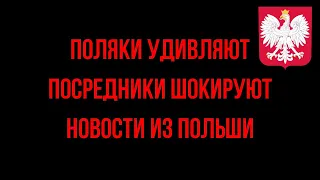 Поляки удивляют, посредники в Польше шокируют. новости из Польши