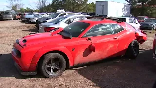 VIDEO: Thieves steal more than $150k worth of cars at Honda dealership in North Carolina