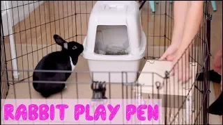 How To Set Up A Rabbit Play Pen